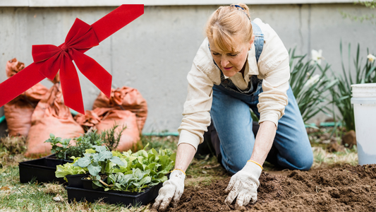 Top 5 Skincare Christmas Gifts Every Gardener Will Love