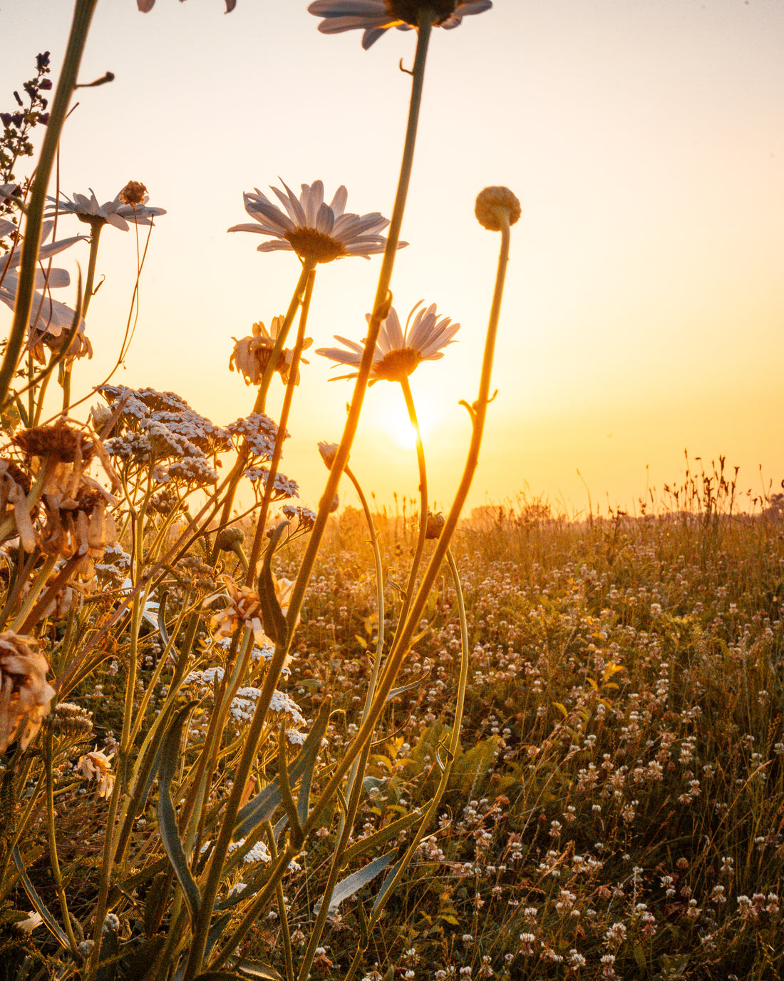 Skincare tips for summer