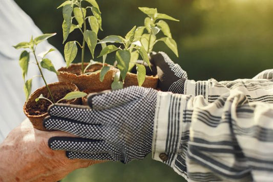 The best handcare for gardeners
