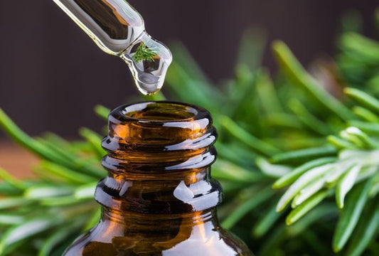 How to make a natural Rosemary Hair and Scalp Oil for hair growth